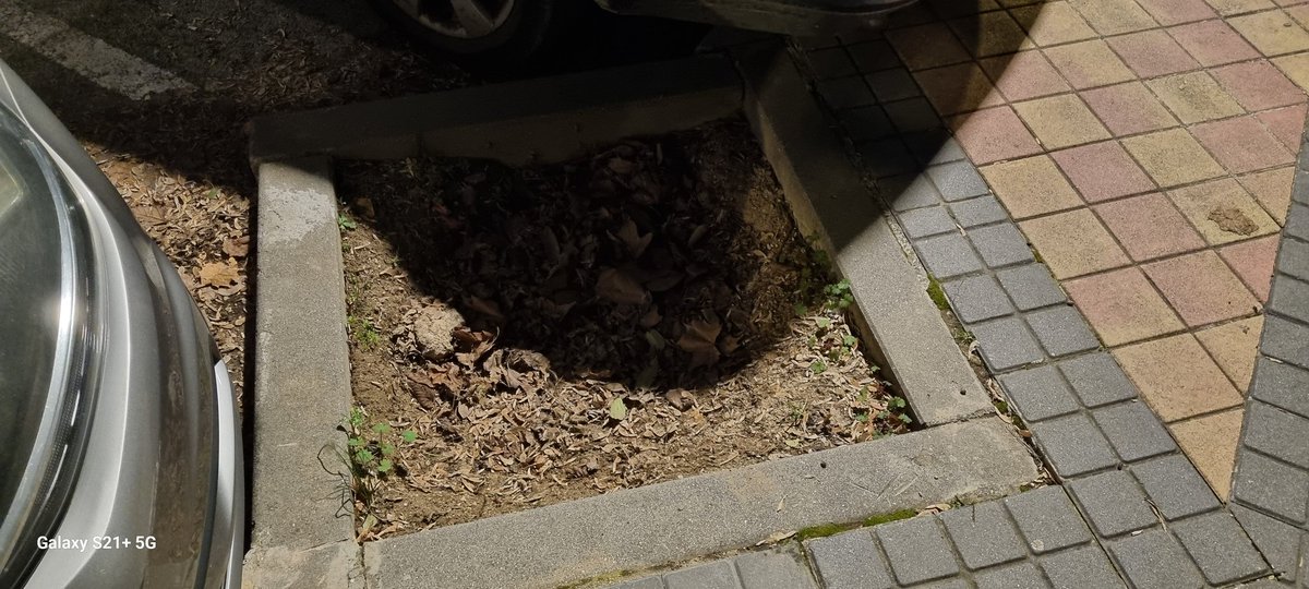 Xplanik 🇪🇦🇮🇱 #CHAMP15NS tweet media