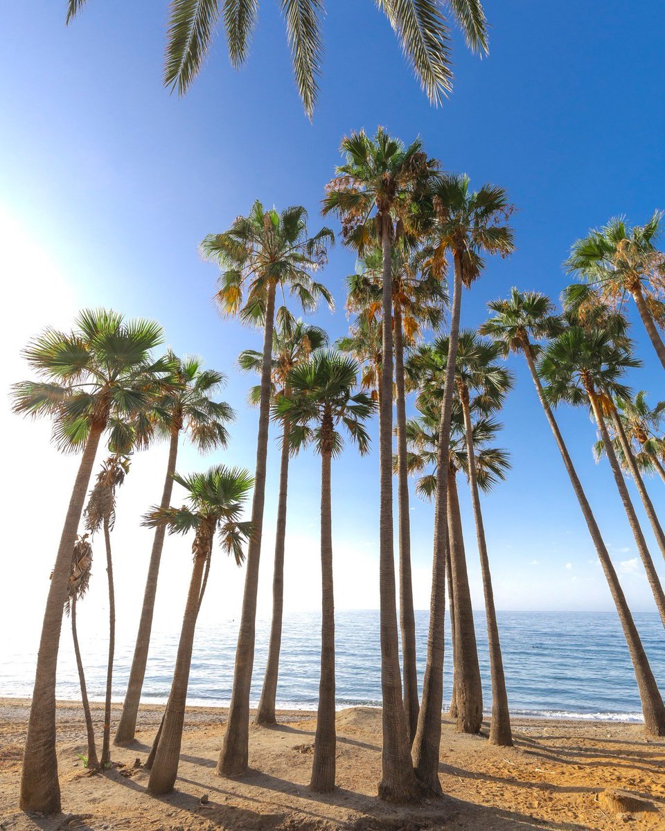 Cierra los ojos un segundo… ☀️🌴
Siente el sol, escucha el mar y respira ese aire que solo se vive en Marbella 🌊
Ahora imagina competir aquí ⚽️🔥

#𝕄𝕒𝕣𝕓𝕖𝕝𝕝𝕒ℂ𝕦𝕡𝕊𝕠𝕔𝕔𝕖𝕣
🗓 Primavera – Del 2 al 5 de abril
🗓 Verano – Del 19 al 22 de junio
▶️ marbellacupsoccer.com