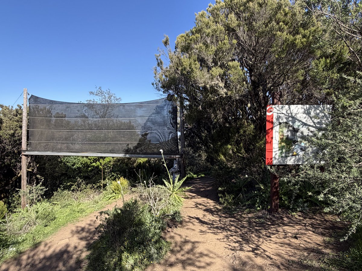 Gerard Sheehy tweet media