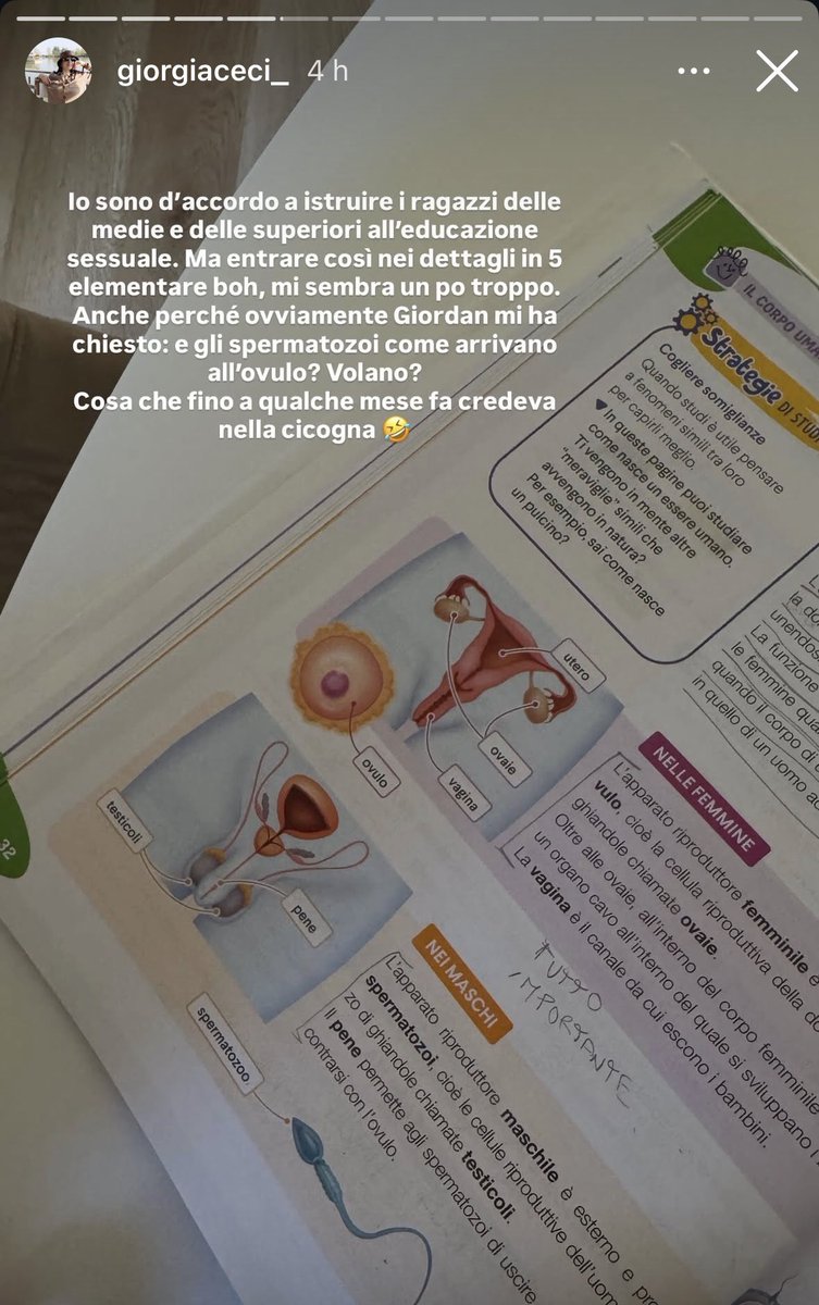 Una più arretrata di questa non c’è 

#influcirco