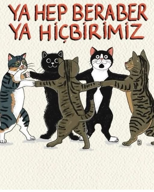 naci çelik berksoy tweet media