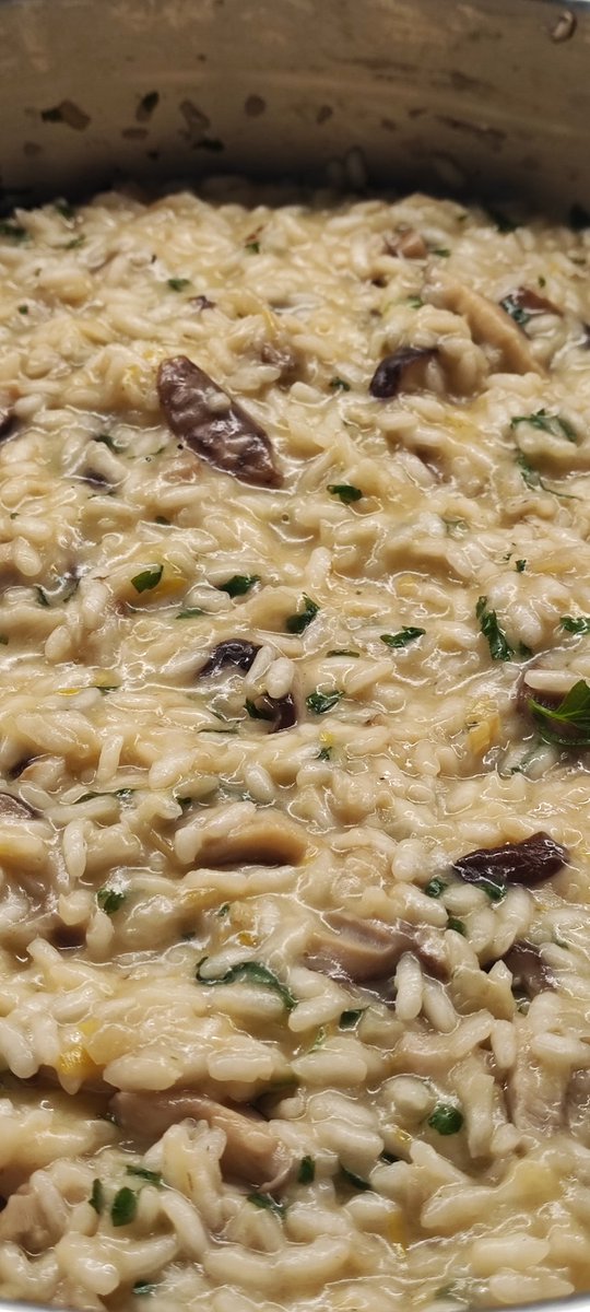 Josean Echauri tweet media