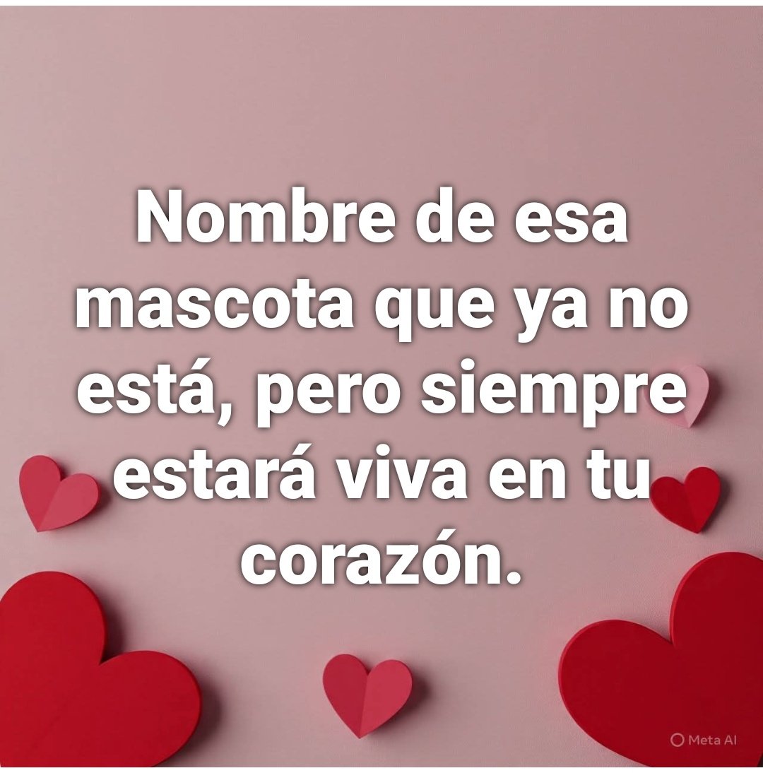 Manu Saenz💛💛 tweet media