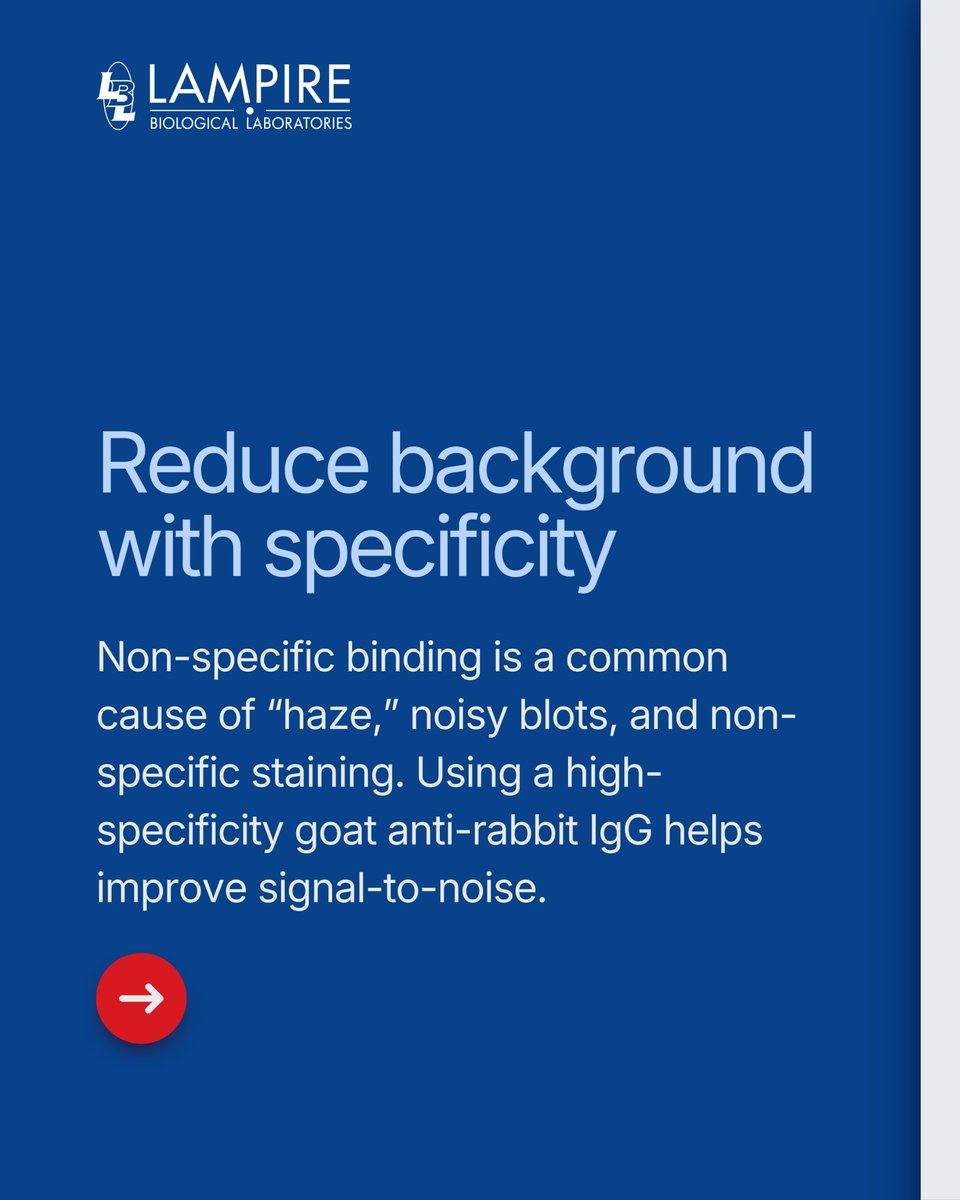 LAMPIRE Biological Laboratories, Inc. tweet media