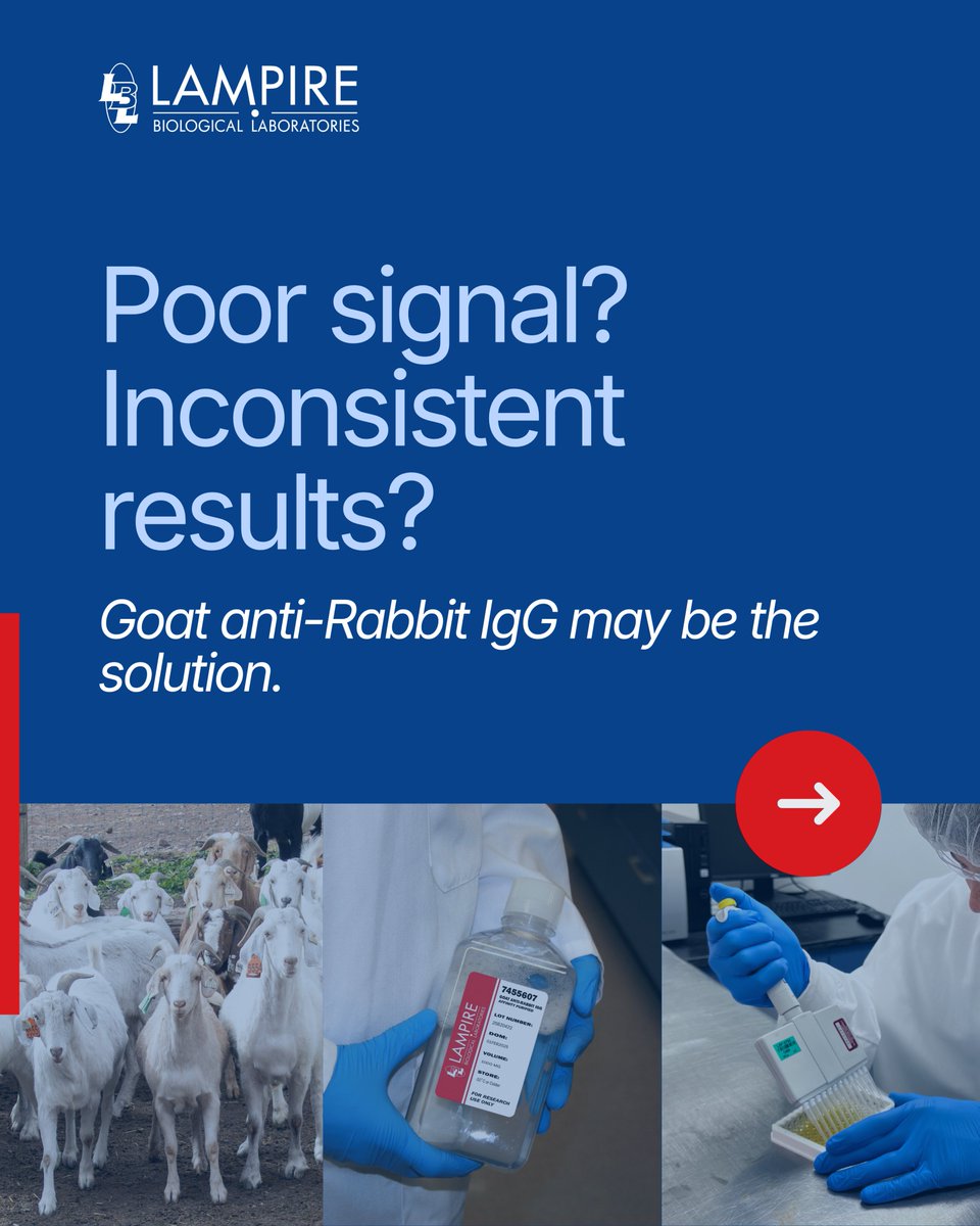 LAMPIRE Biological Laboratories, Inc. tweet media