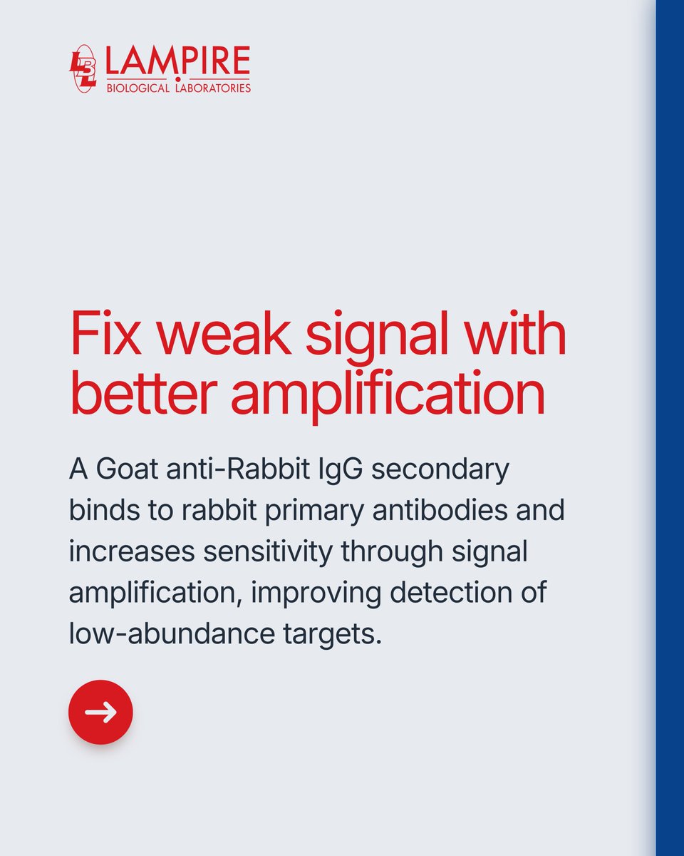 LAMPIRE Biological Laboratories, Inc. tweet media