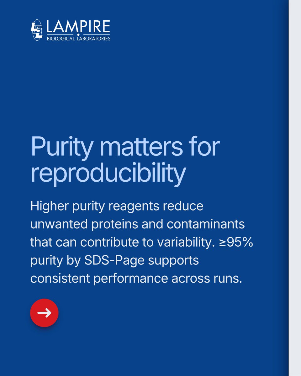 LAMPIRE Biological Laboratories, Inc. tweet media