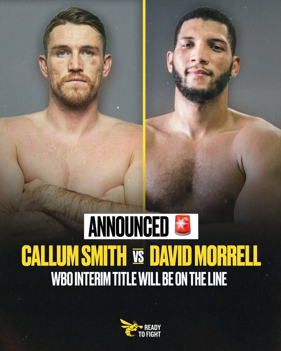 RTFight_Boxing tweet media