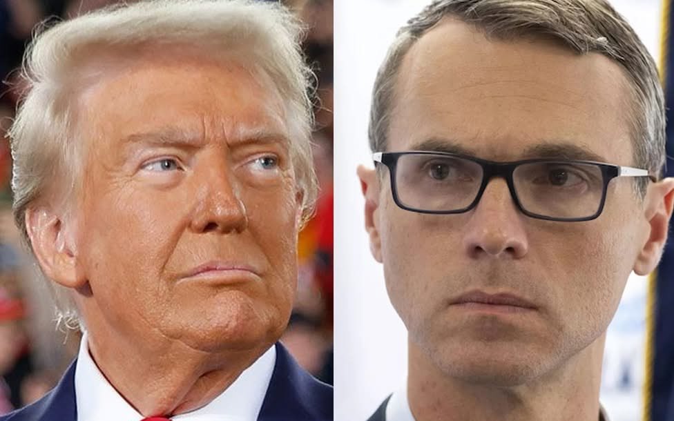 Occupy Democrats tweet media