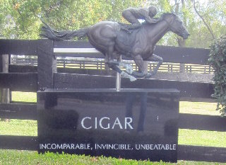 aboutcigars's tweet photo. Today is not only Fat Tuesday, but it's also the first day in the Year of the Horse. https://t.co/l5PC3CiCAh