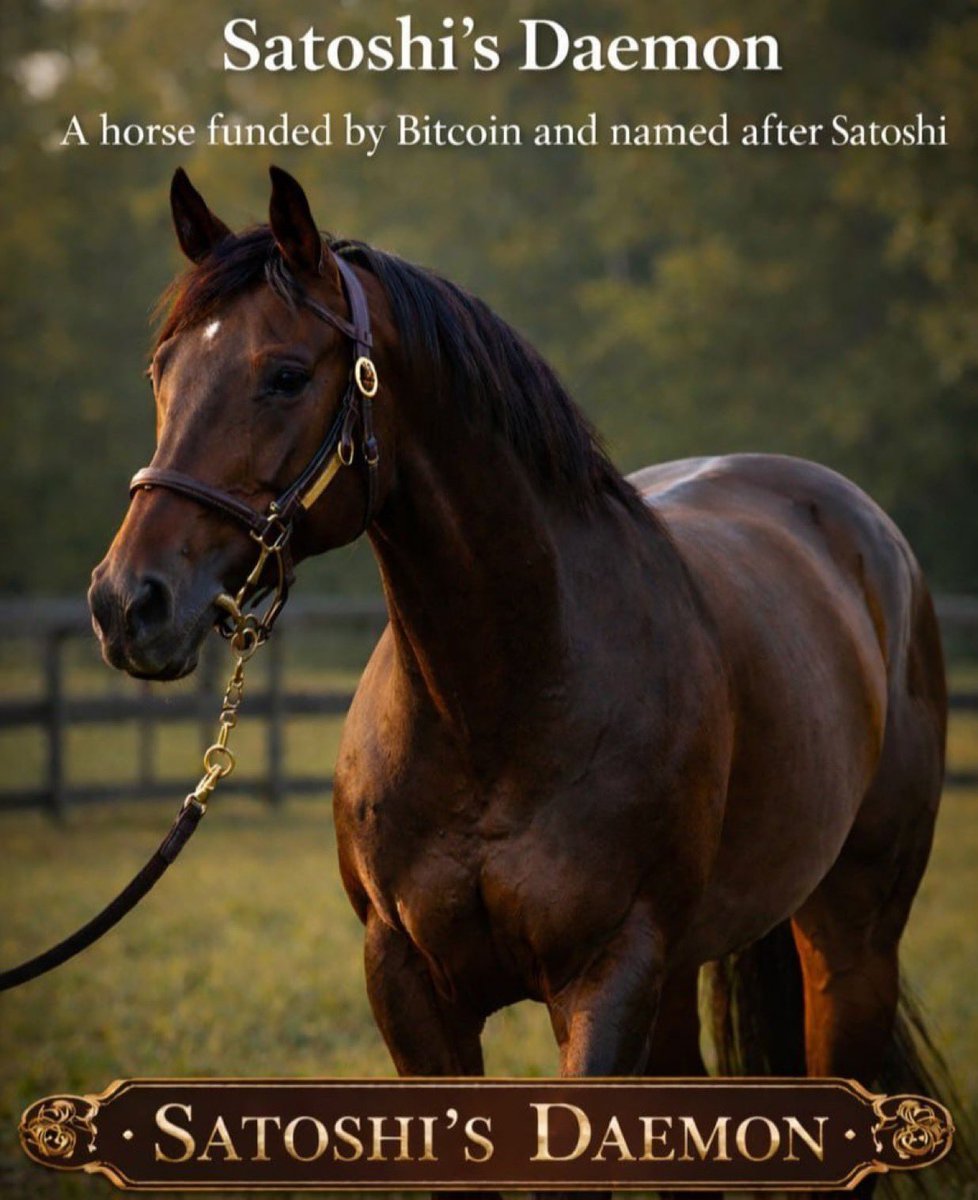 Satoshi Daemon tweet media