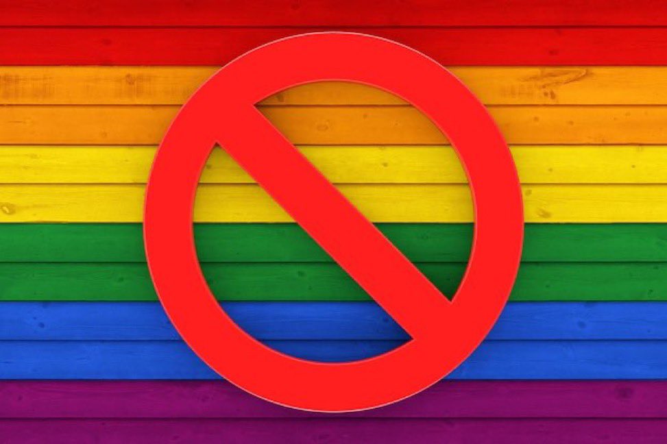 🇹🇷🚨| ÚLTIMA HORA: Turquía podría imponer penas de tres años de prisión a quienes apoyen o alienten a los LGBT. ¿Apoyas esta medida?