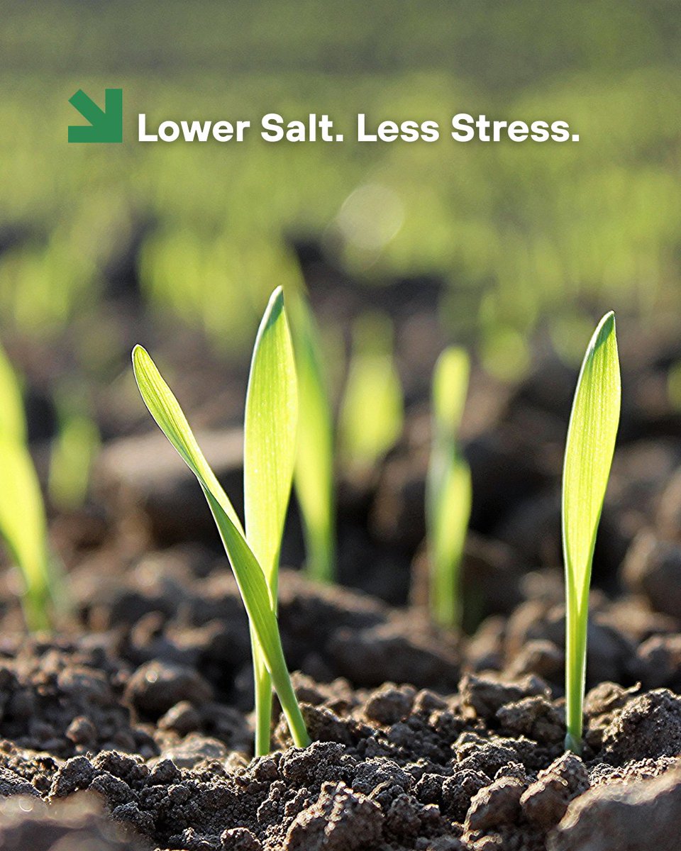 Replenish Nutrients tweet media