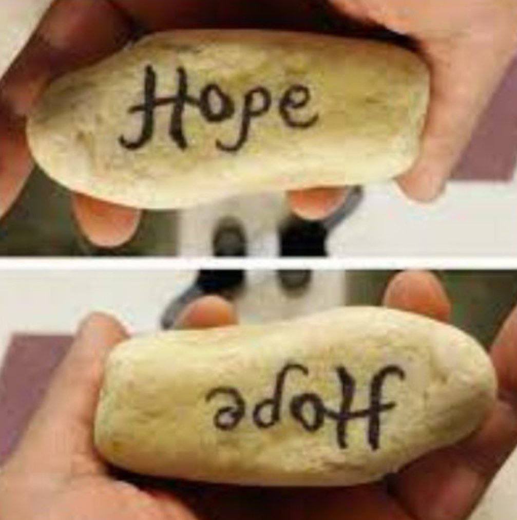 Daniel Zea (@daniel153177) on Twitter photo 