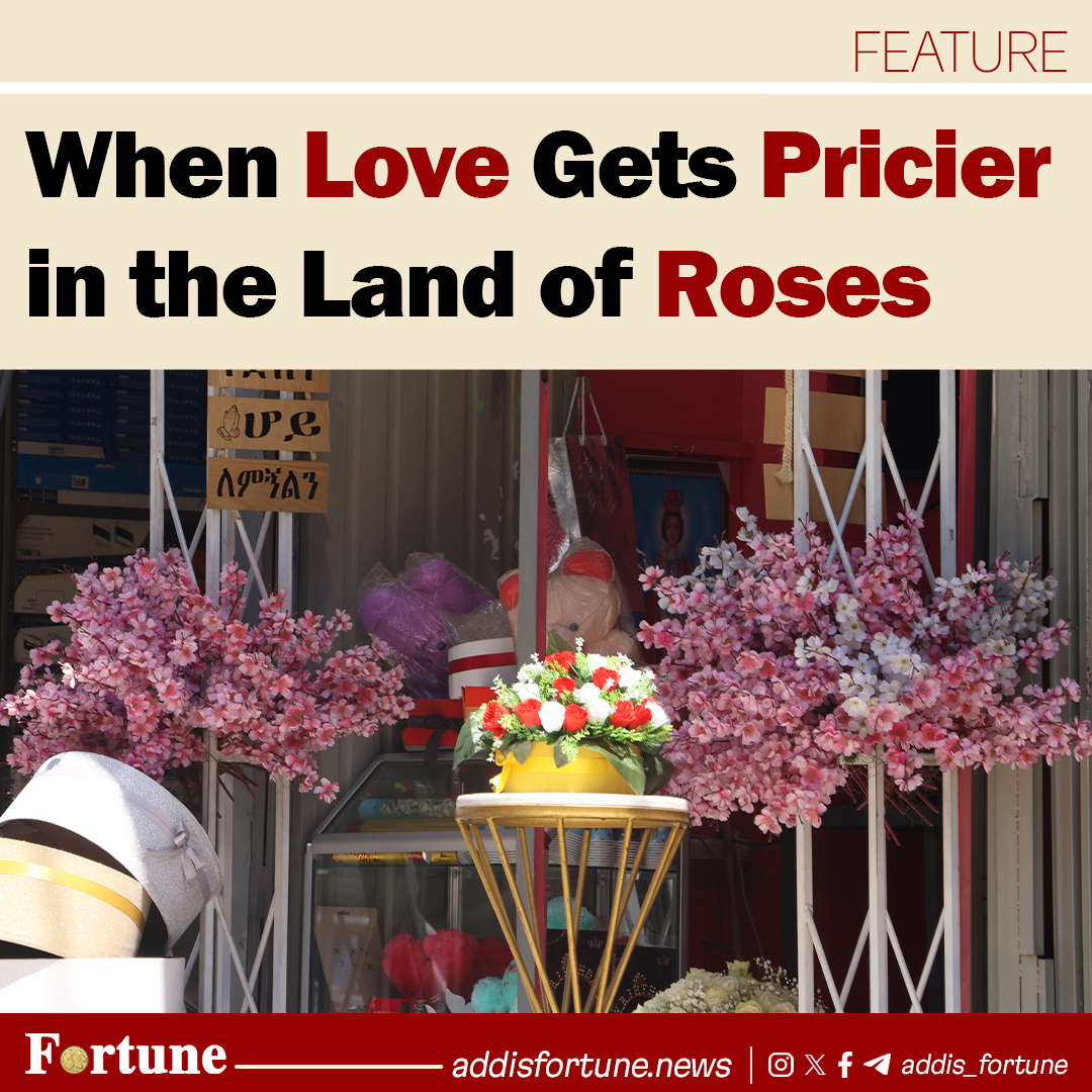 addis_fortune's tweet image. Ethiopia is one of Africa’s largest exporters of cut flowers, with farms increasing output by 30pc to 40pc for Valentine’s week. #Valentines #Day #Ethiopia

Read more - shorturl.at/7ddCp