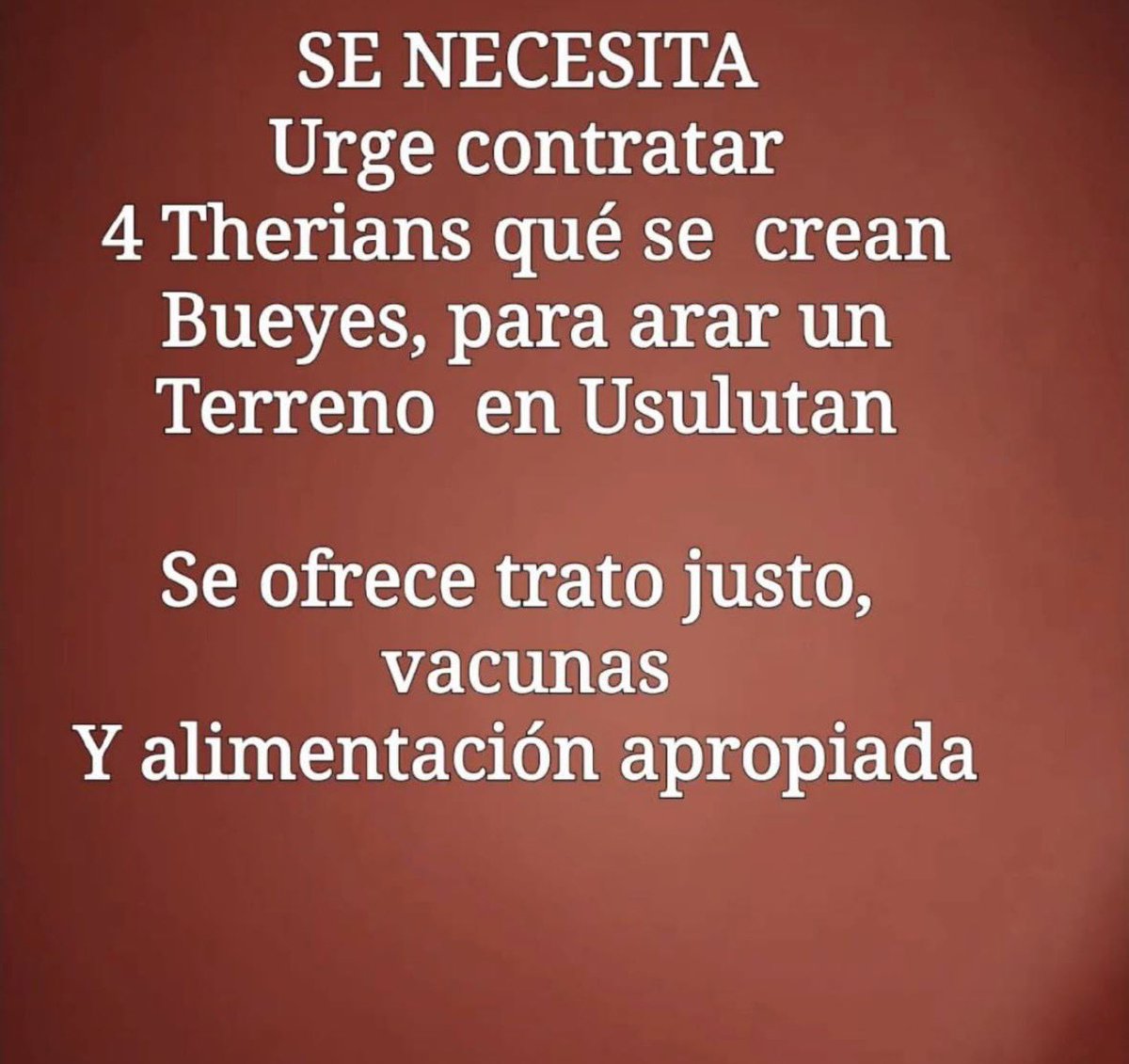 Los que estén interesados favor escribir en DM 🤭