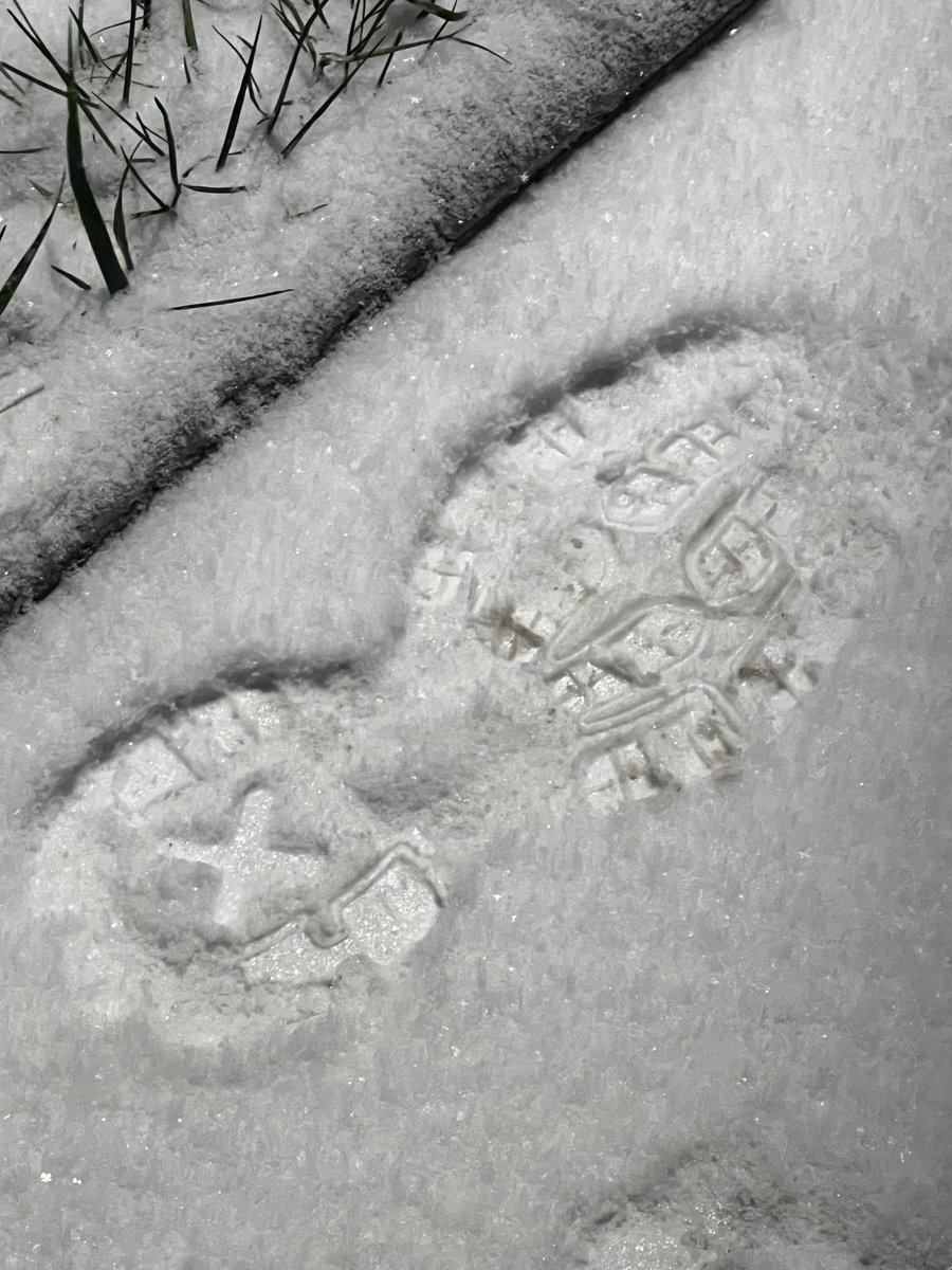 RavistDash tweet media