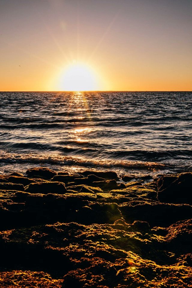 Crystal Cove Conservancy tweet media