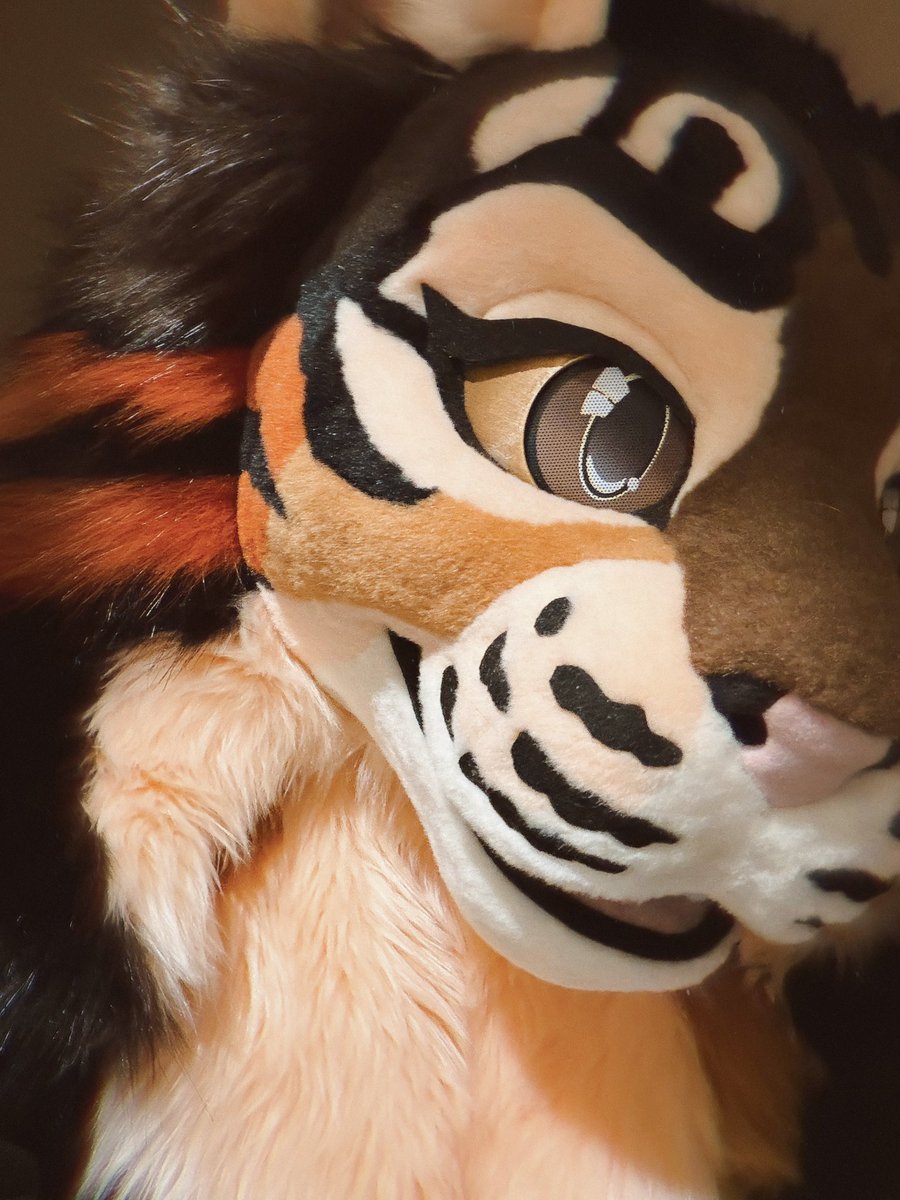 Loki🌵 tweet media