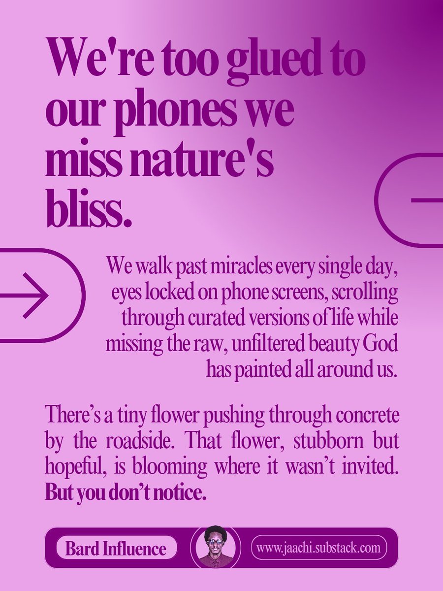 thejaachimma's tweet photo. Dewdrops cling to spider webs at dawn, turning them into chandeliers of light.

Read more ⬇️ 
https://t.co/2geW7vi1iE

#bardinfuence #touchgrass #phoneaddict #phoneaddiction https://t.co/RH1C5eWEqj