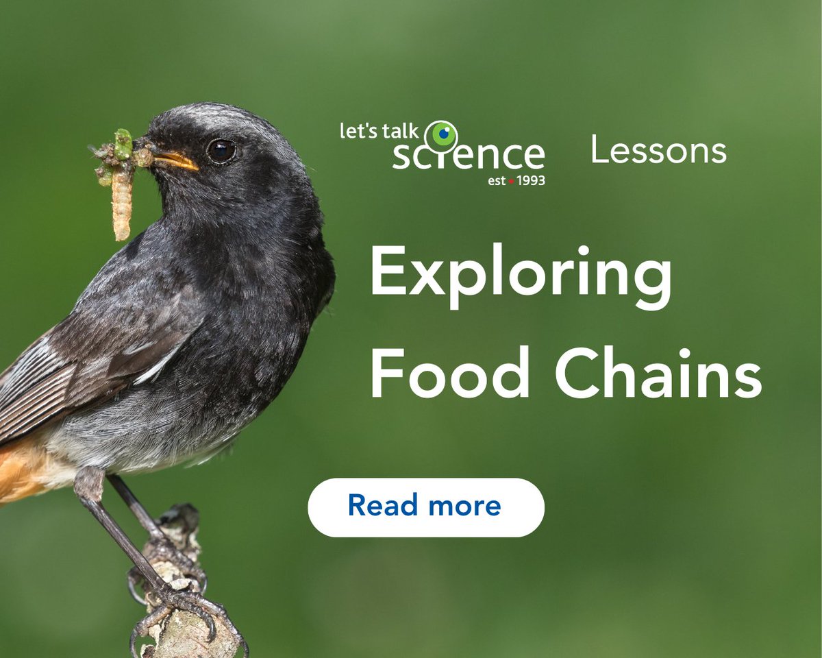 Let's Talk Science tweet media