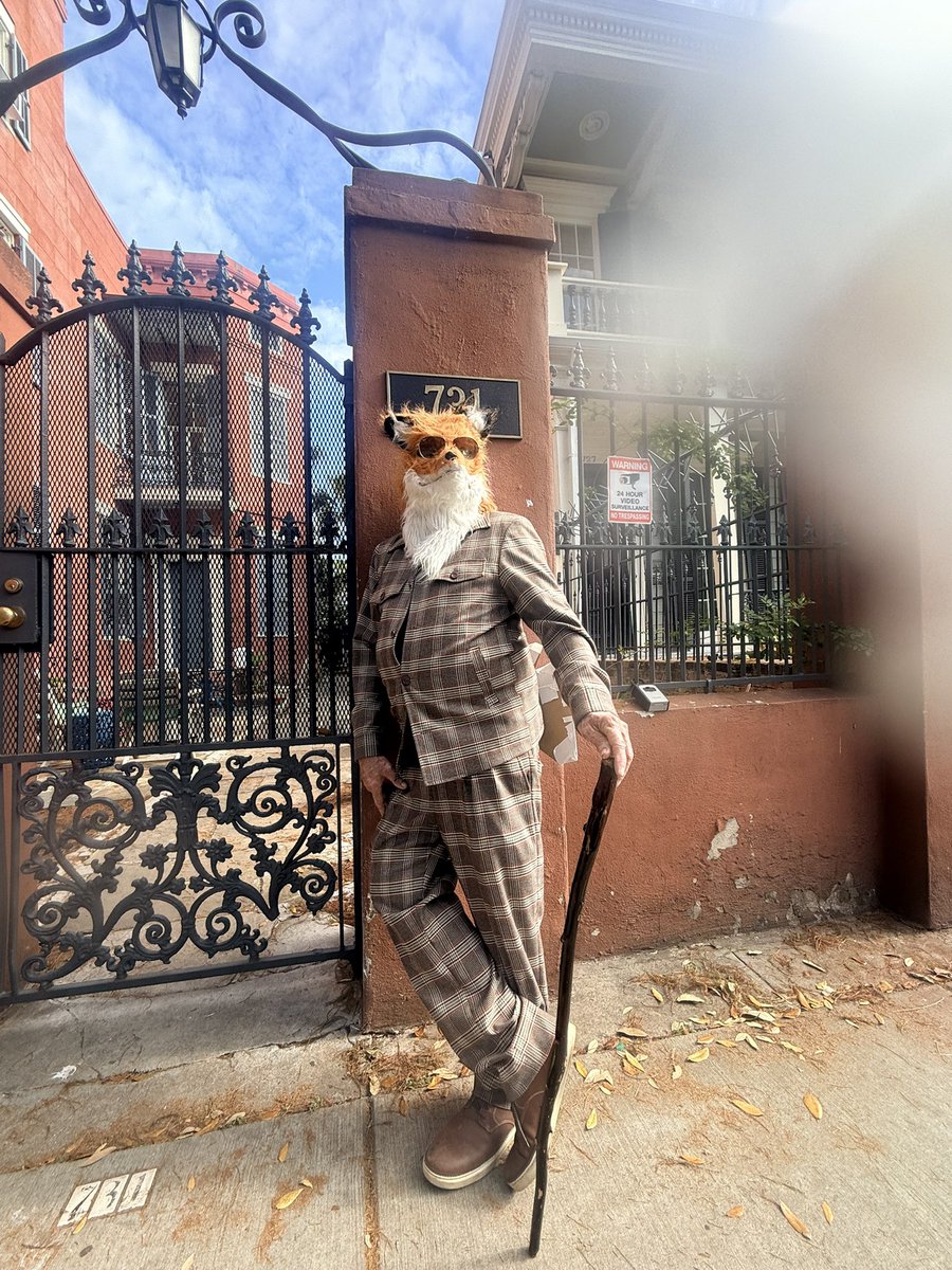 💜🦊Happy Mardi Gras from the Fantastic Mr Fox🦊💚⚜️🕶️🐸🎼🎩🎹