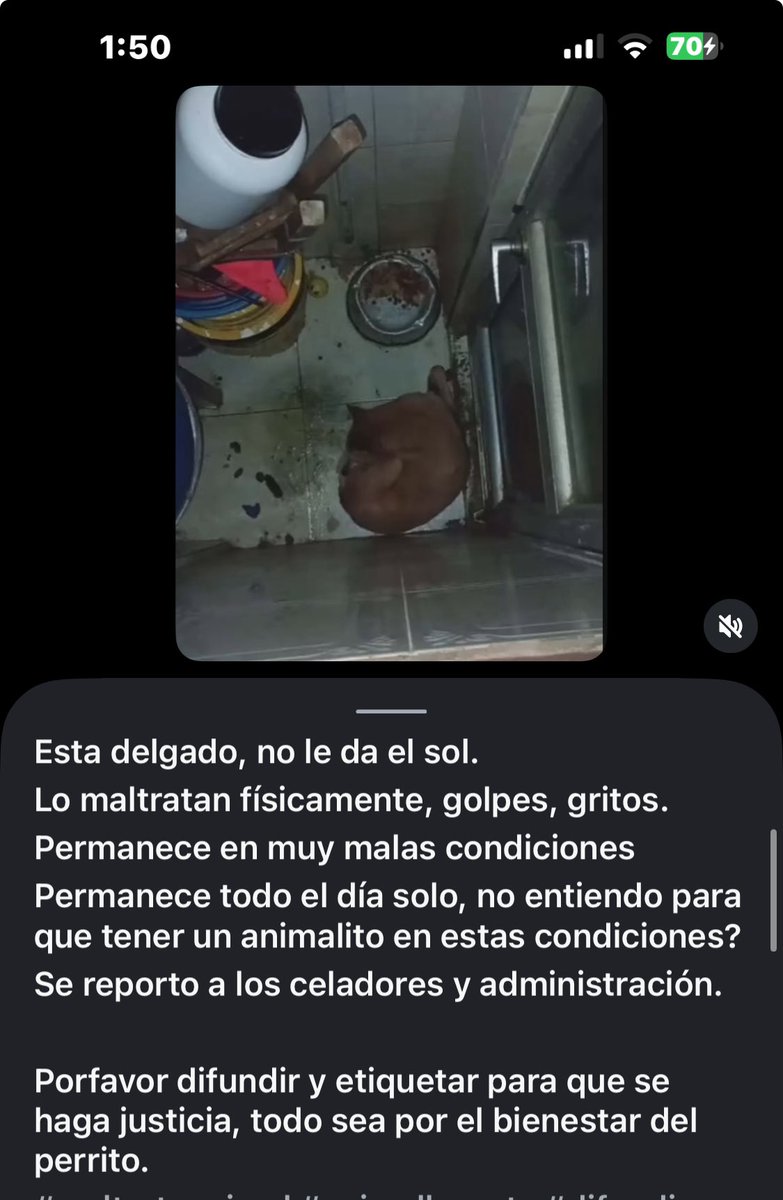 Atención a este caso de maltrato. La gente si es muy 🤬 con los animales. Urge rescate 

🆘Ayuda por favor <a href="/AnimalesBOG/">Protección Animal Bogotá</a> <a href="/CarabinerosCol/">Carabineros de Colombia</a> <a href="/andreanimalidad/">Andrea Padilla |Senado Alianza Verde🌻#️⃣1️⃣4️⃣</a>