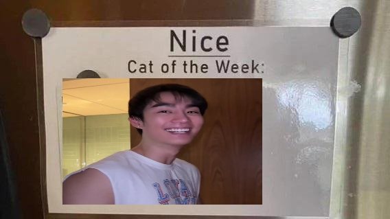 kasisoob's tweet photo. force regularly going viral for being chronically nice before and after his acting debut https://t.co/gcCrNhN0GE