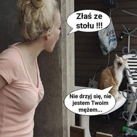 dusza_aga's tweet photo. #SwiatowyDzienKota 😁🐱 https://t.co/i7oonfEge9