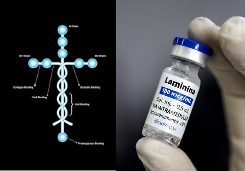 🇧🇷 Não é verdade q 3 pessoas morreram depois de iniciar o tratamento da Dra.Tatiana Coelho Sampaio pra voltar andar. 

👉🏽Nem os ratos, cães morreram,todos tiveram o movimento restaurado. A difamação mentirosa é porque o Brasil está furando barreiras científicas.
<a href="/EspacoBrasil_BR/">Espaço Brasil 🇧🇷</a>