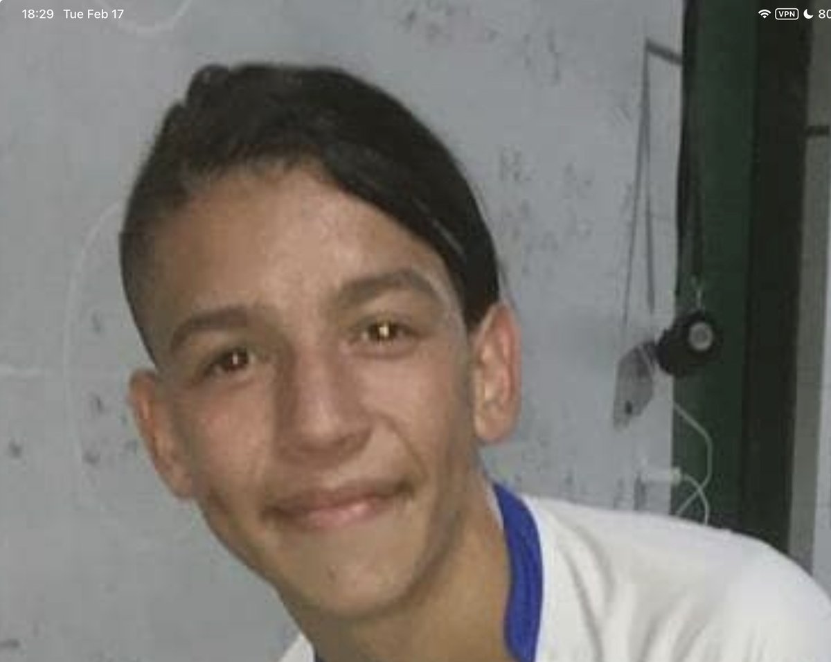 renata ⁷ tweet media