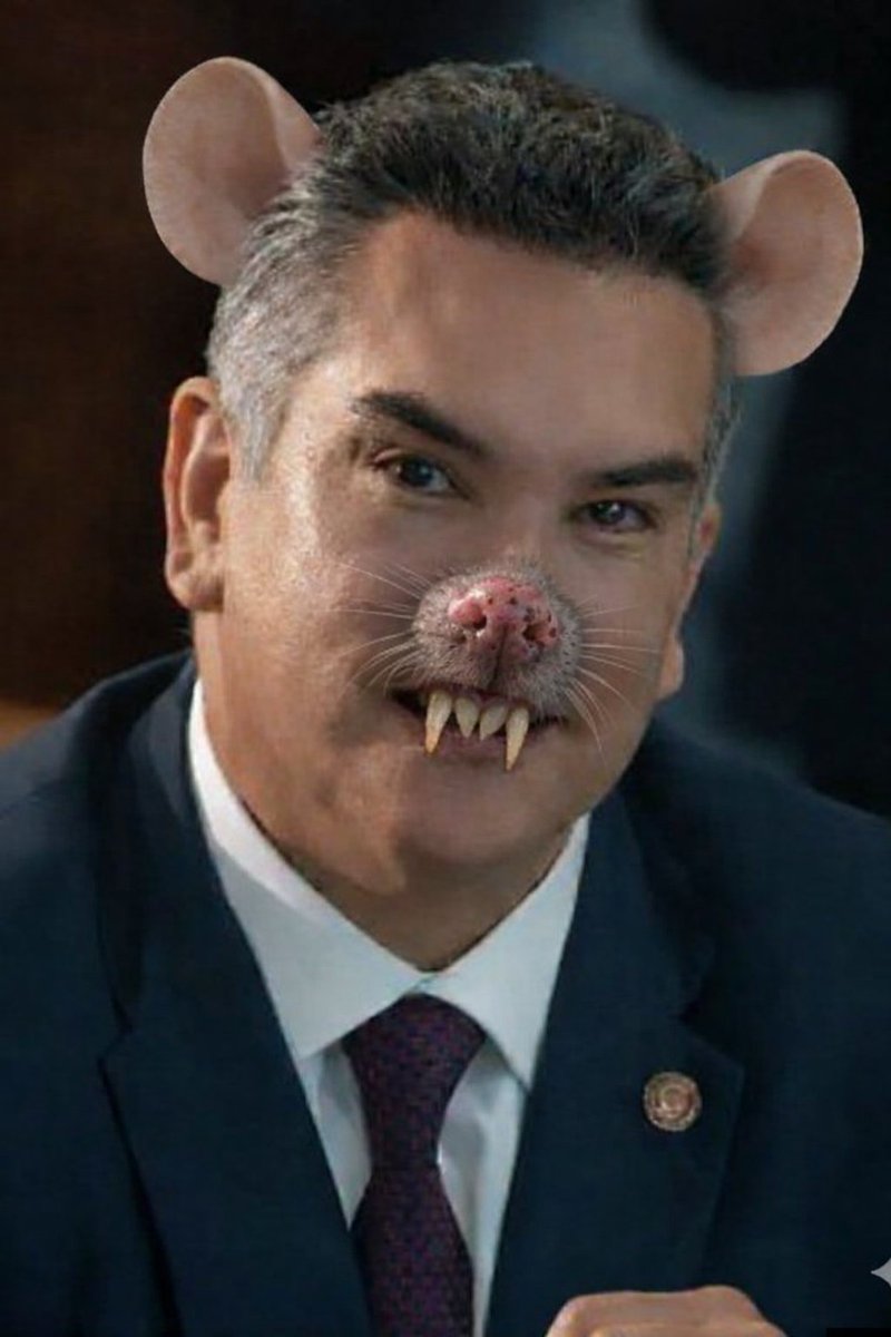 No lo sabíamos, pero <a href="/alitomorenoc/">Alejandro Moreno</a> es therian 😰