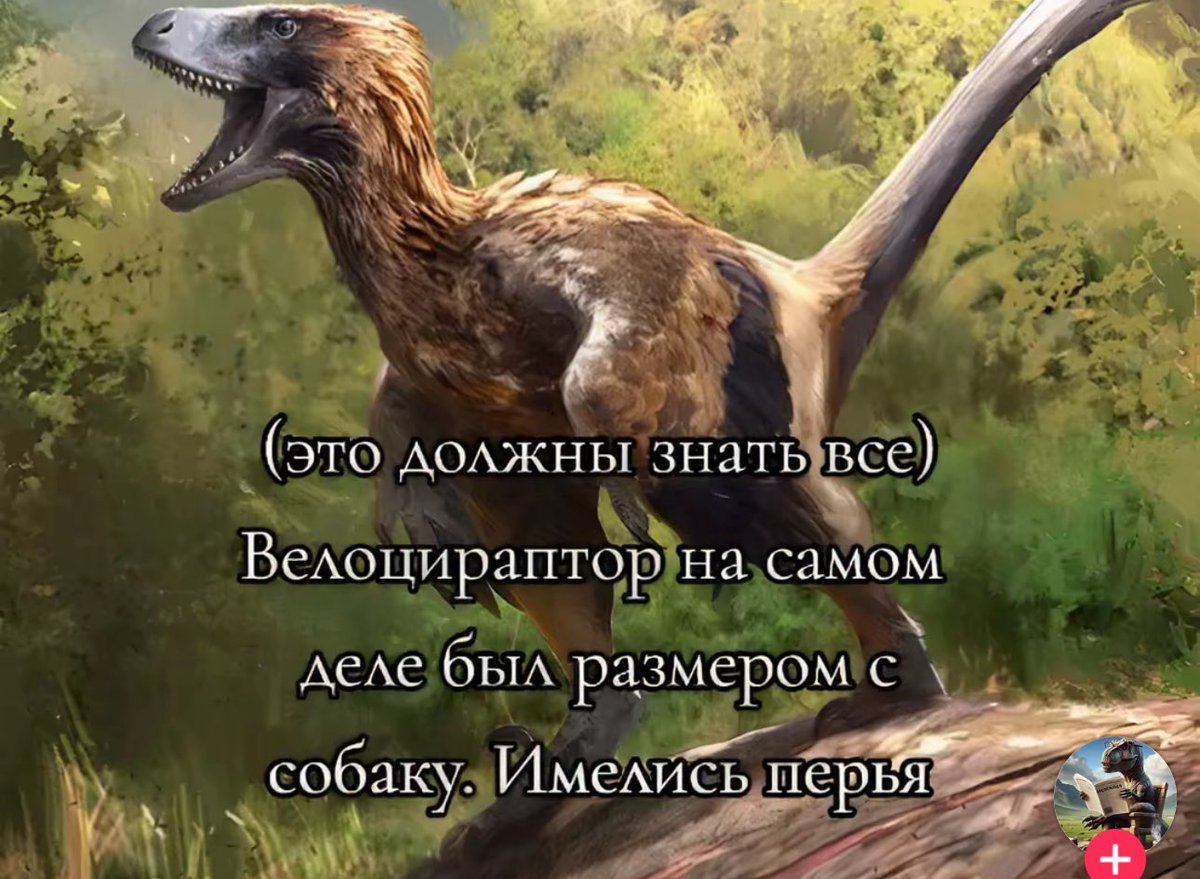 luwbug's tweet image. 