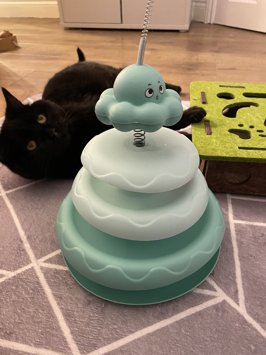 SuperSezza 🧑🚀 🐳🐬🐳🐬🐋 tweet media