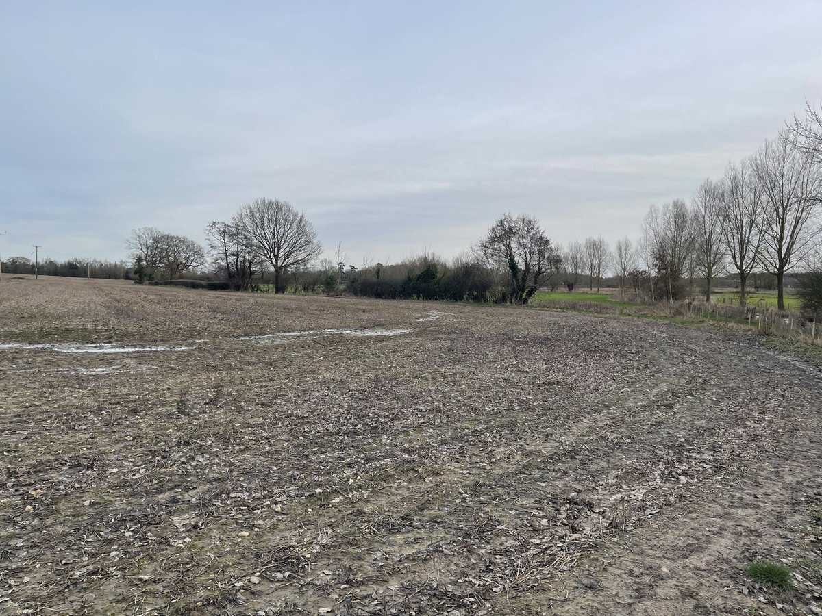 Neil Burt tweet media