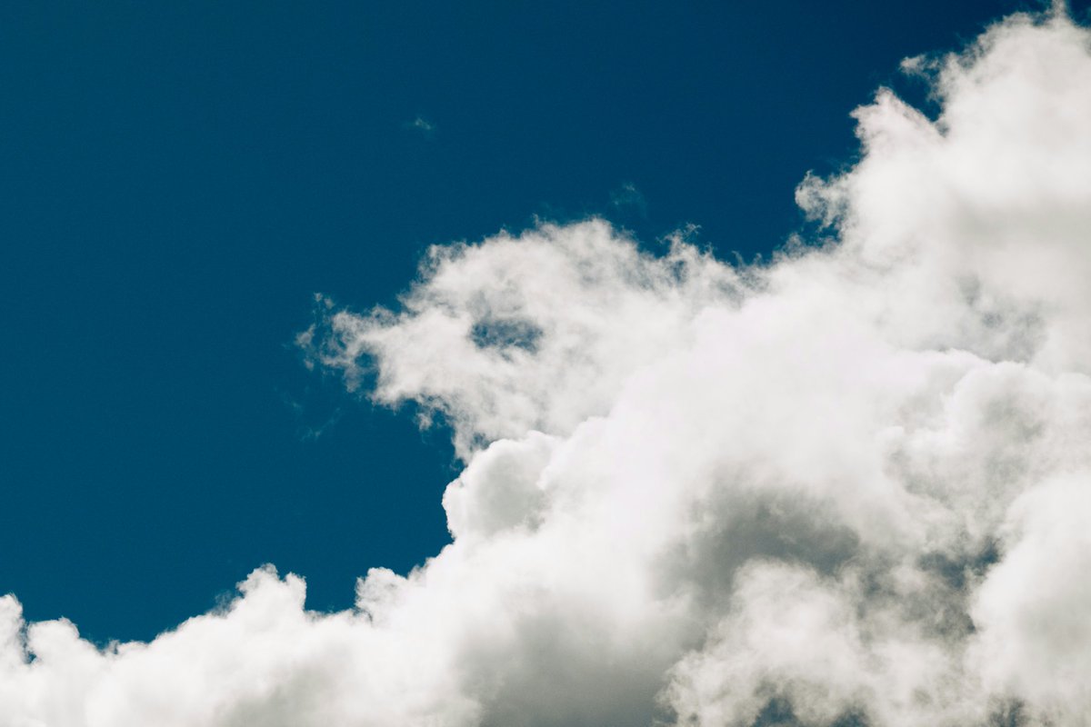 rmourpoppop's tweet image. After the rain in #poway, and my pareidolia senses at work.