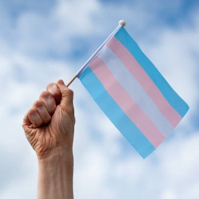 Brasil Alternativo tweet media