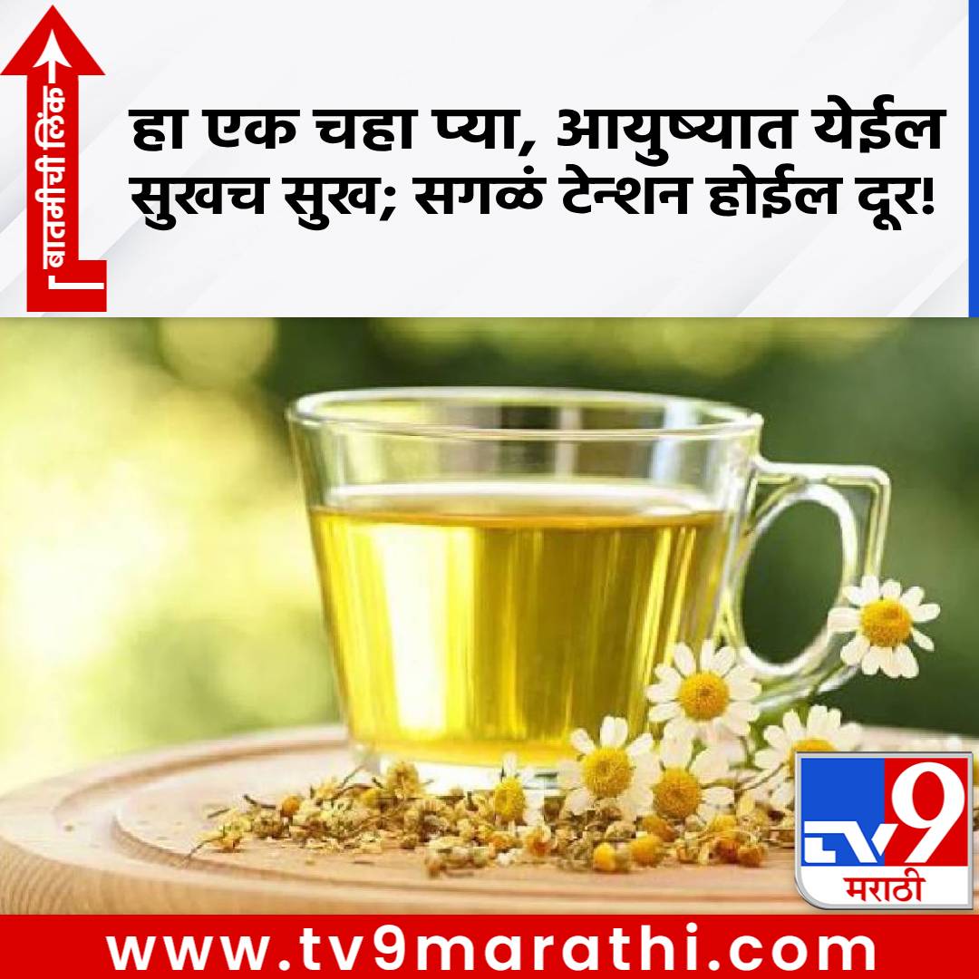 TV9Marathi's tweet photo. Chamomile Tea : हा एक चहा प्या, आयुष्यात येईल सुखच सुख; सगळं टेन्शन होईल दूर!
https://t.co/xUXkgEiG4j
#Chamomiletea #marathinews https://t.co/u52M1lO47P