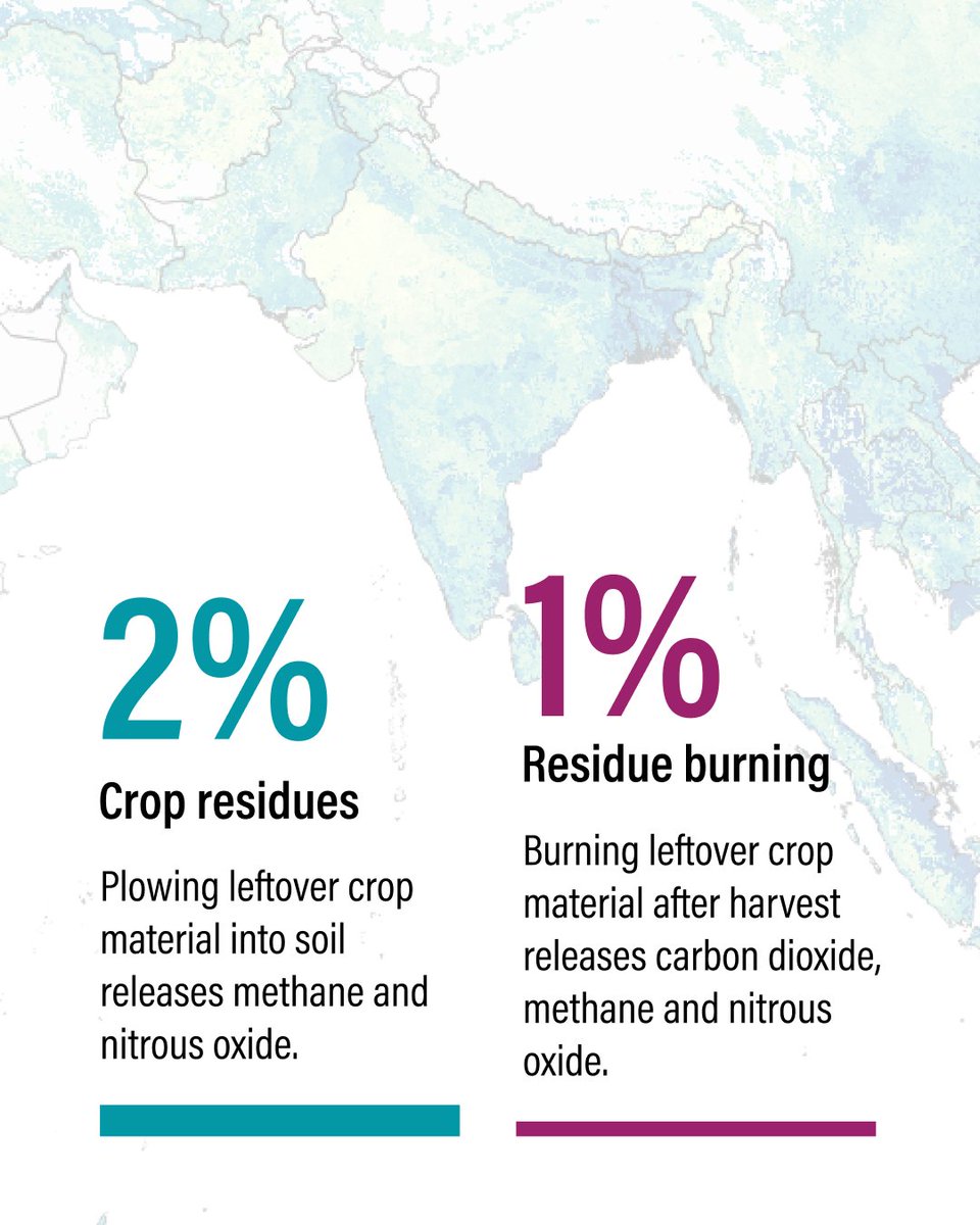 Land & Carbon Lab tweet media