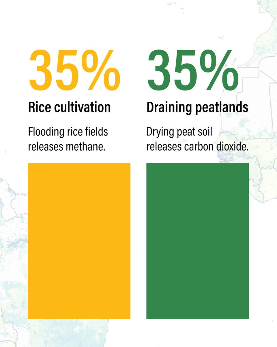 Land & Carbon Lab tweet media