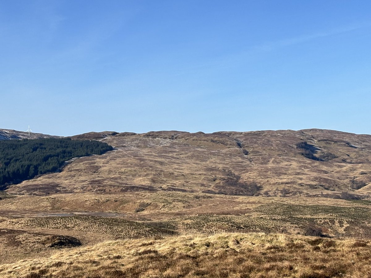 feelsEAeagley's tweet photo. It’s that time of year. Golden eagles up and about hunting, displaying and mating. https://t.co/PzsLkvTtes