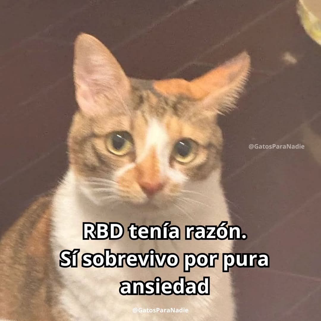 En Júpiter (@en_jupiter_) on Twitter photo 