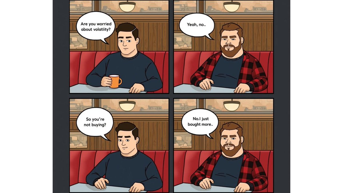 "Are you worried about volatility?"
Midwest Bitcoiner: "Yeah, no."
"So you're not buying?"
"No, yeah... I just bought more."