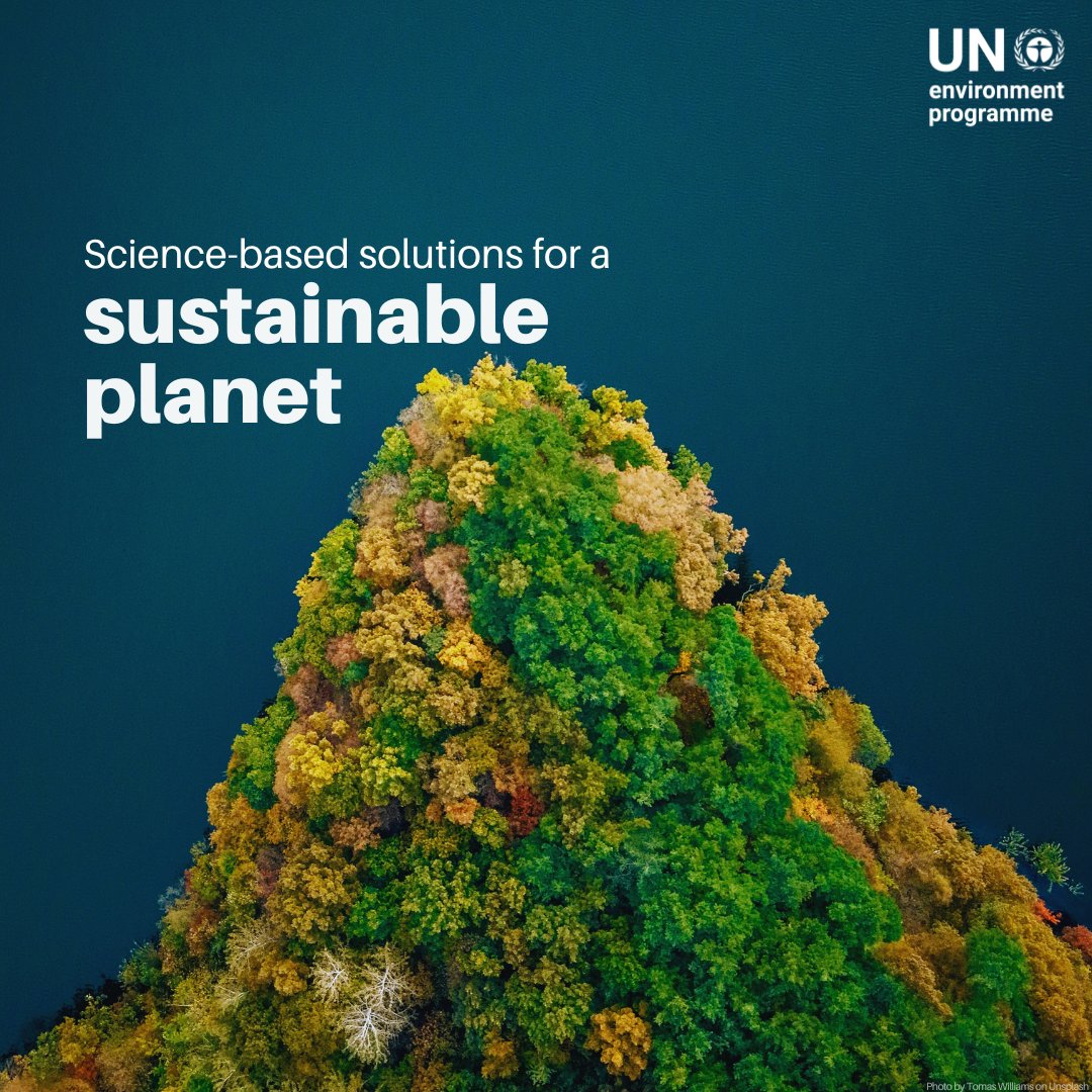UN Environment Programme tweet media