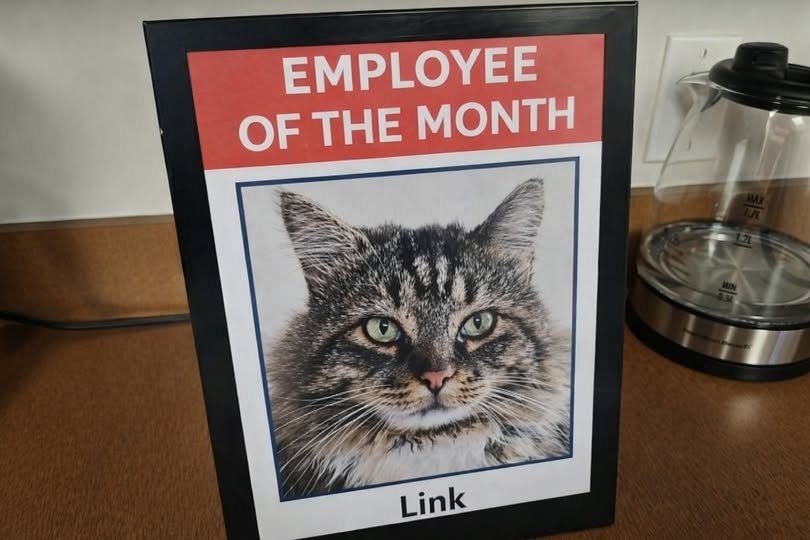 Kelly Eros tweet media