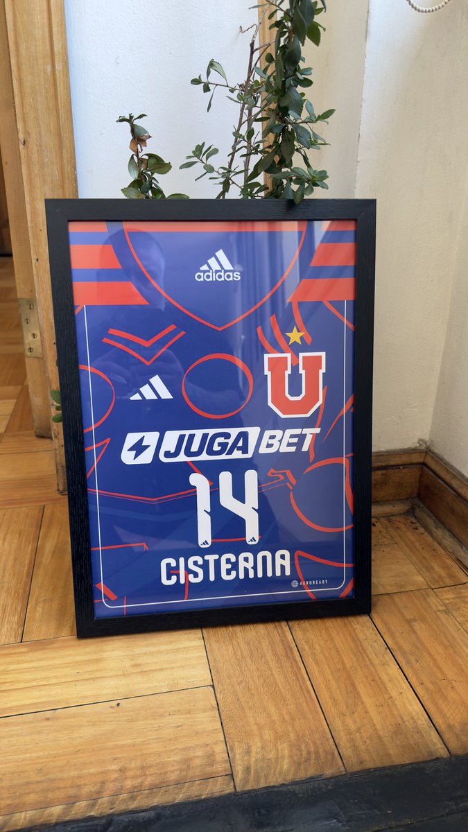 DPelao77's tweet photo. 🔥 CUADRO CAMISETA UDECHILE 2026 🔥

💙❤️ La nueva piel del Bulla ahora en tu muro

📏 Medidas: 29x42 cm
🖼️ Impresión de alta calidad

💰 Valor: $10.000

✔ Perfecto para pieza, oficina o rincón bullanguero
✔ Ideal para regalo
✔ Diseño exclusivo 2026

📲 Se hace a pedido https://t.co/3tzrK7qbB2
