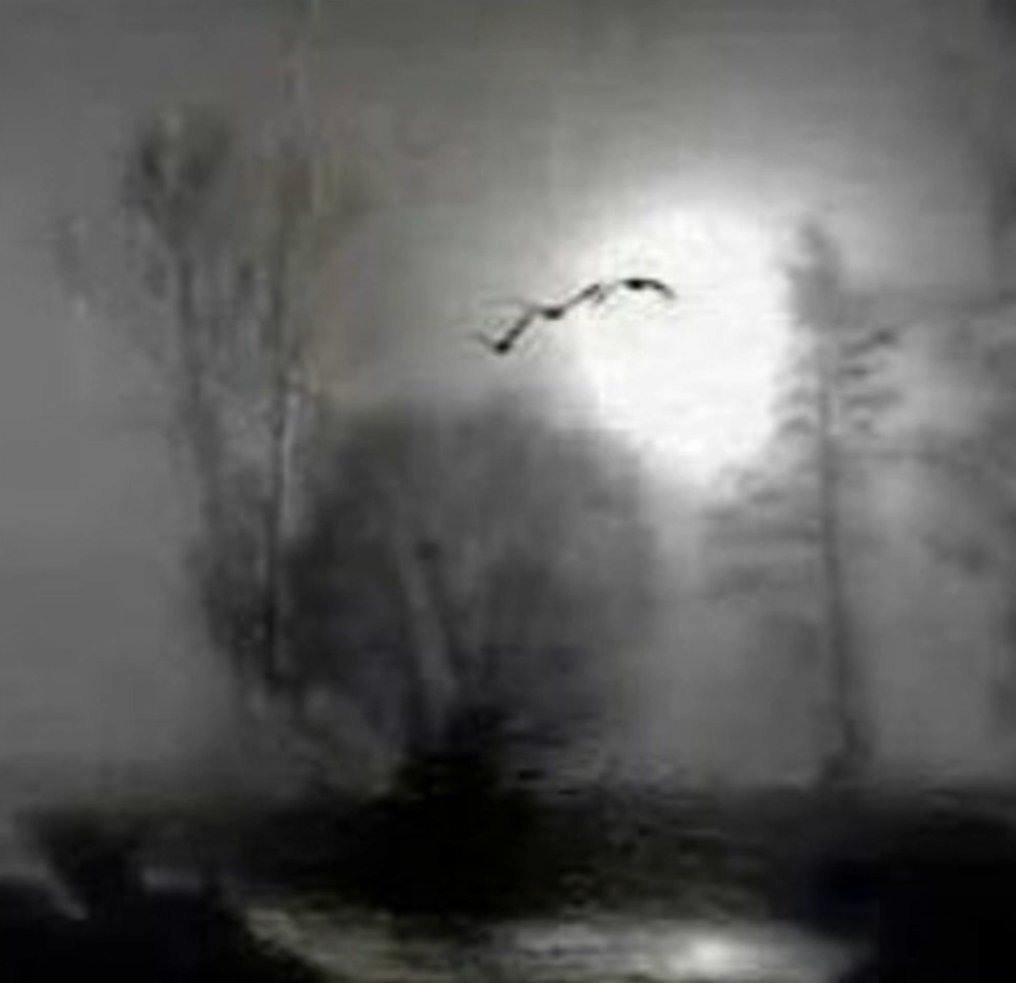 Chirin 🌲🐑🌲 (@_chirin_) on Twitter photo 