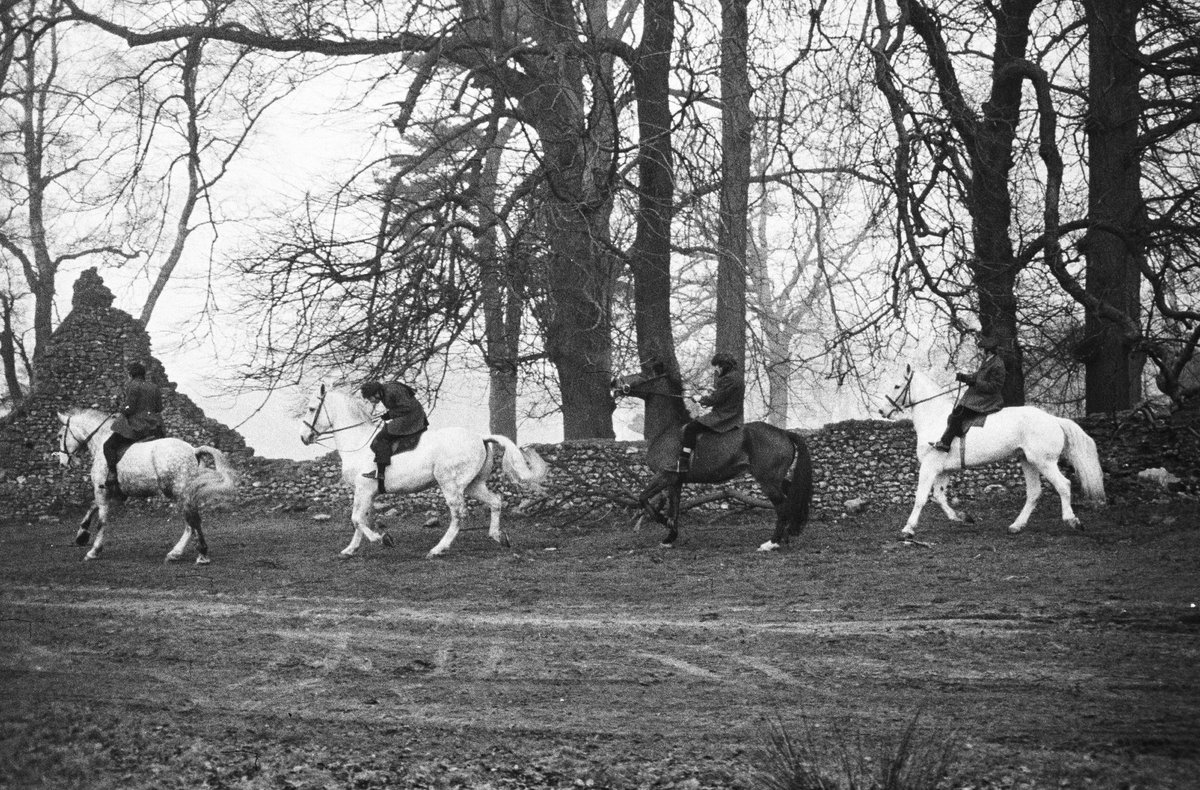 thebeatles's tweet image. Hoofing it, as they say. Happy Year of the Horse.

Photos © Apple Corps Ltd