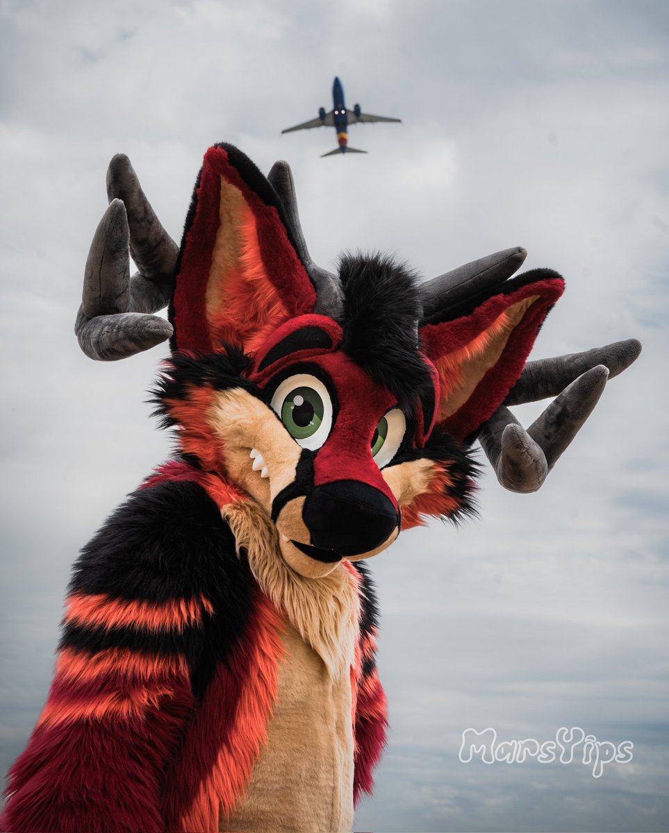 Scaddams tweet media