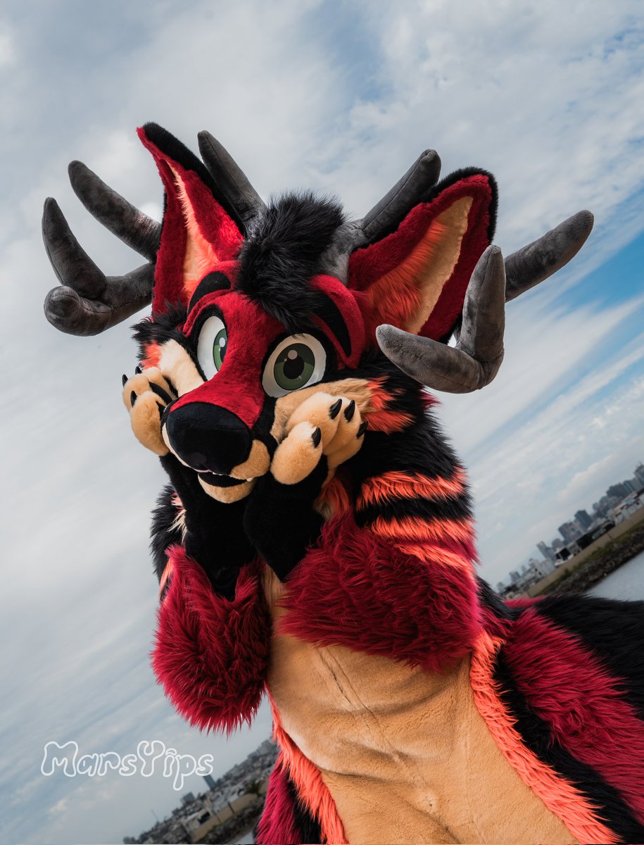 Scaddams tweet media